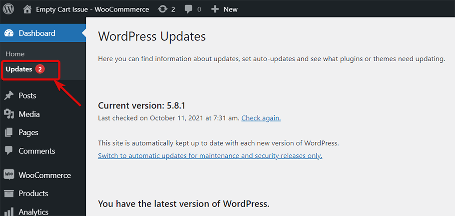 Check-if-WordPress-and-wooCommerce-needs-update