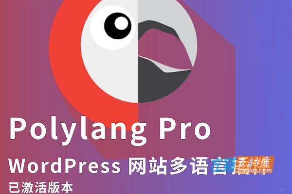 WordPress插件_Polylang Pro（无锁即用）_WP多语言插件+WooCommerce功能_V3.7.5